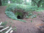 Pohled na vstup do podzemí v severovýchodní části Kozlova po vykácení náletových dřevin.Foto:Tomáš Šimůnek 2007